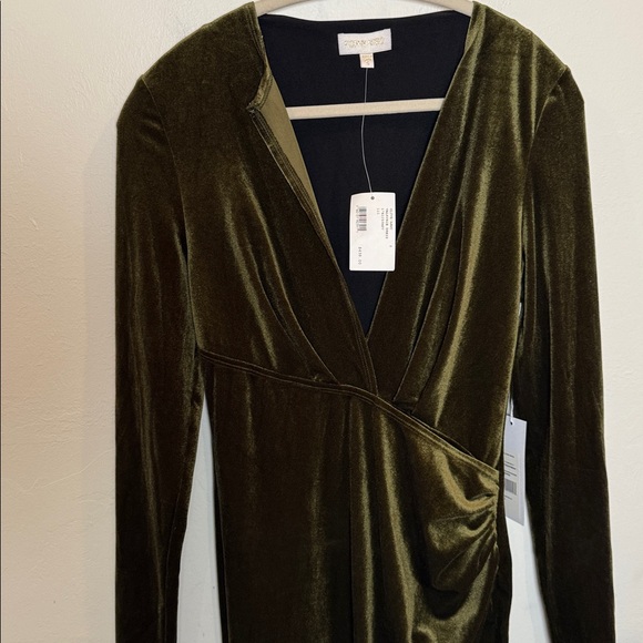 Ronny Kobo Valkyrie maxi velvet dress in juniper size small nwt - Picture 4 of 8